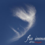 fia imma - Strohmayer