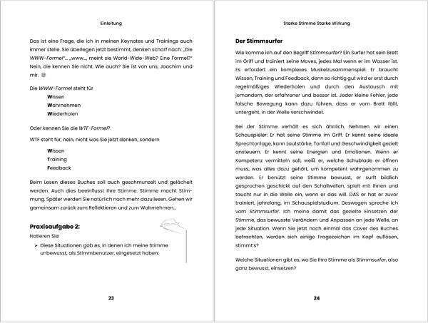 BUCH Starke Stimme - Starke Wirkung – Bild 2
